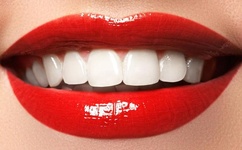 快播怎么看大黄